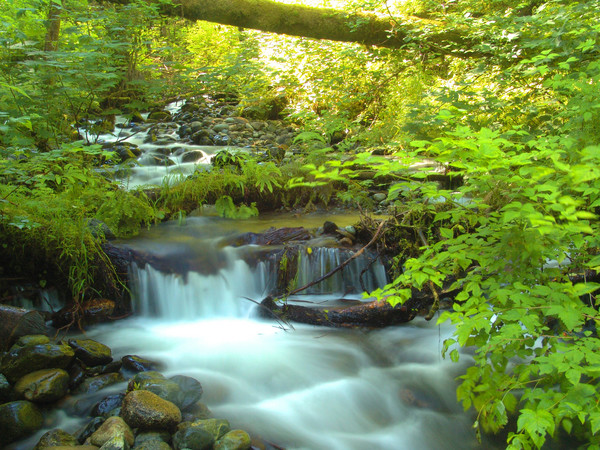 smokey water 2