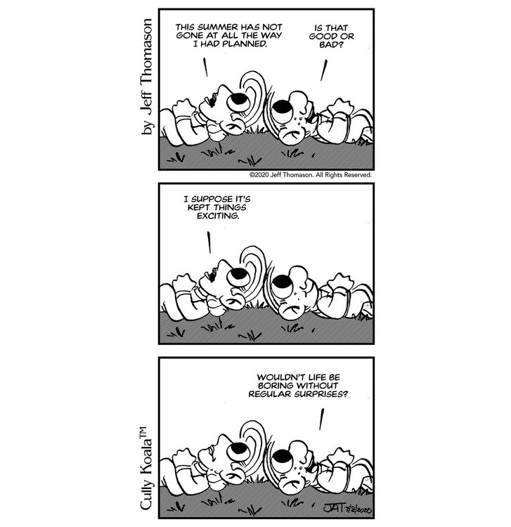 Comic about Life and Surprises