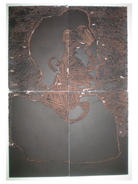 ariel relief