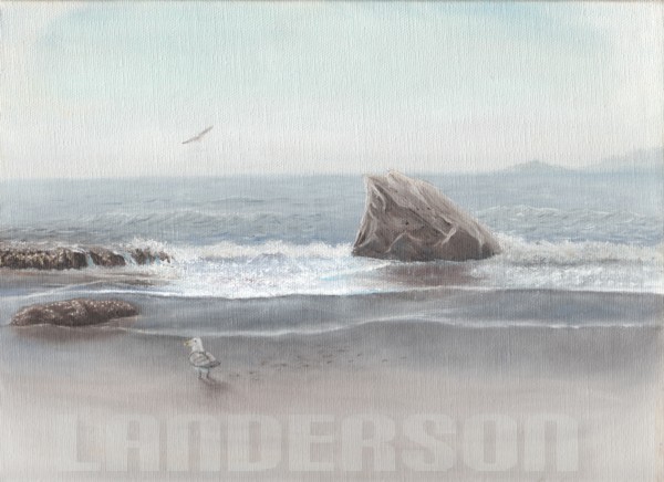 Shoreline