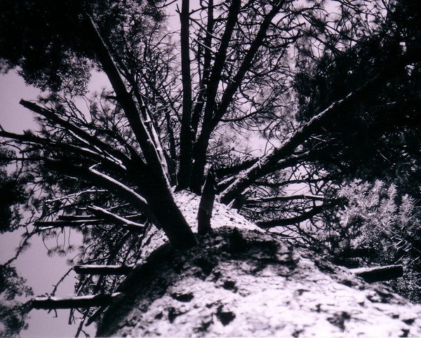 Reaching Up