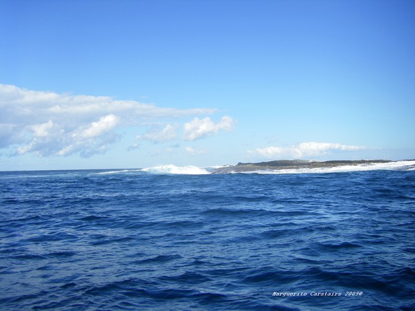 Island in the Sea