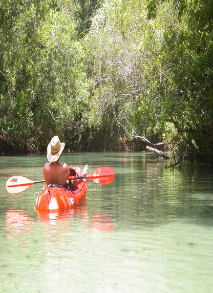 Patch on the River