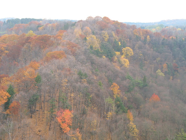 Dundas Valley