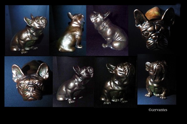 Pocket sized French Bulldog
