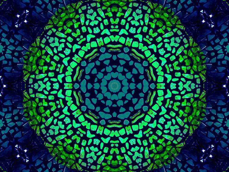 glolpollii