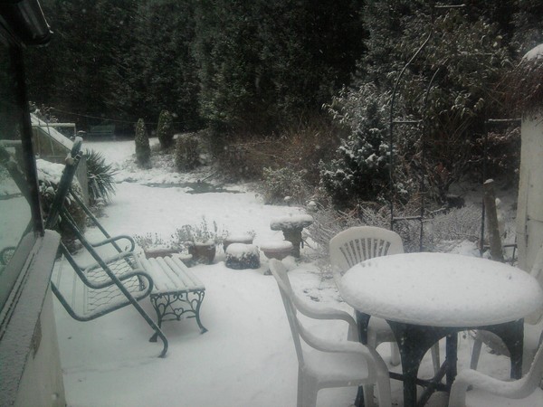 Garden snow