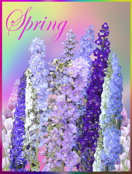 Think Spring