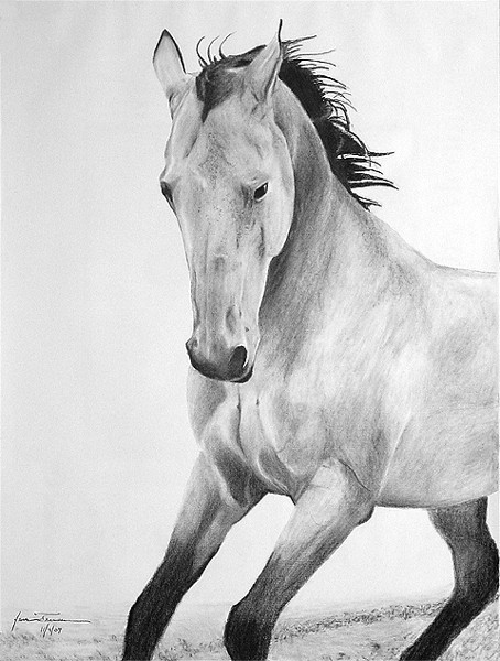 Charcoal Golden