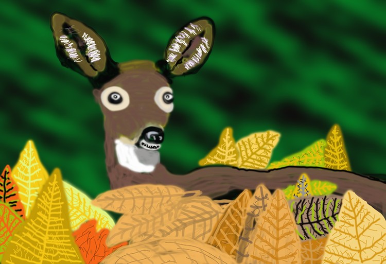 deer in leaves   O922