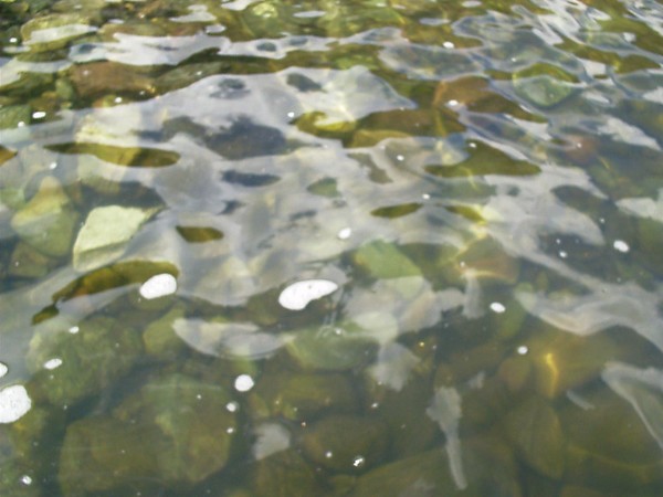 clear waters