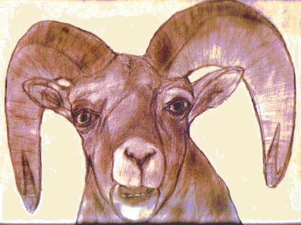 Bill E. Goat