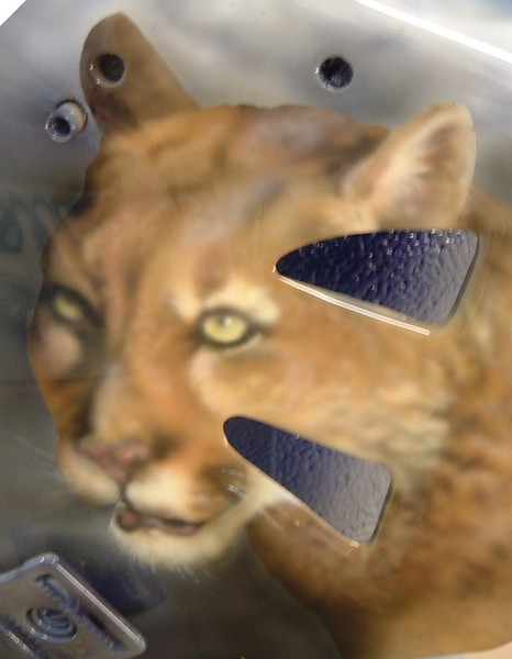 Couger