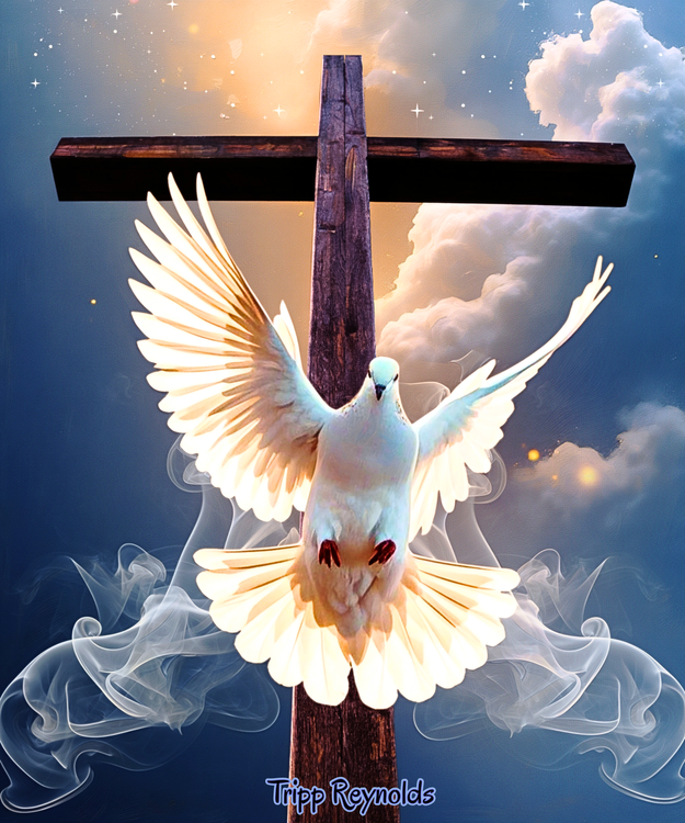 The Spirit Through the Cross