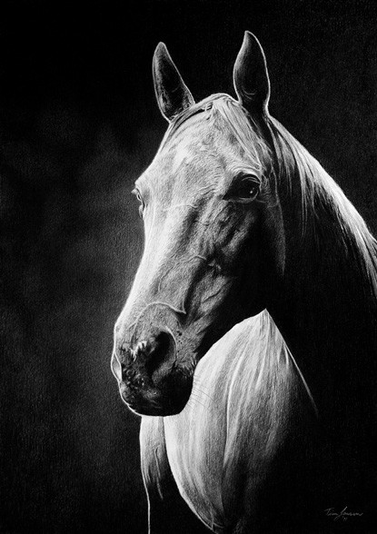 Sweet Spirit