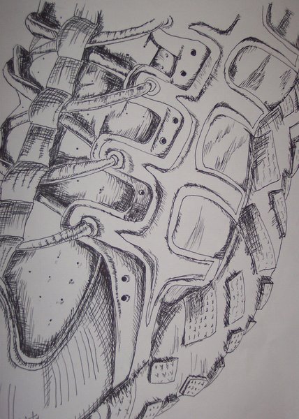 shoe