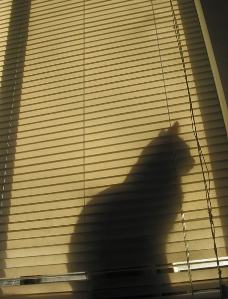 Shadow