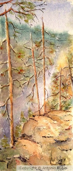 Helvetinkoulu