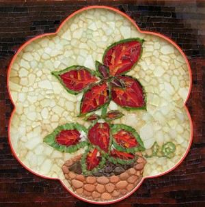 Coleus