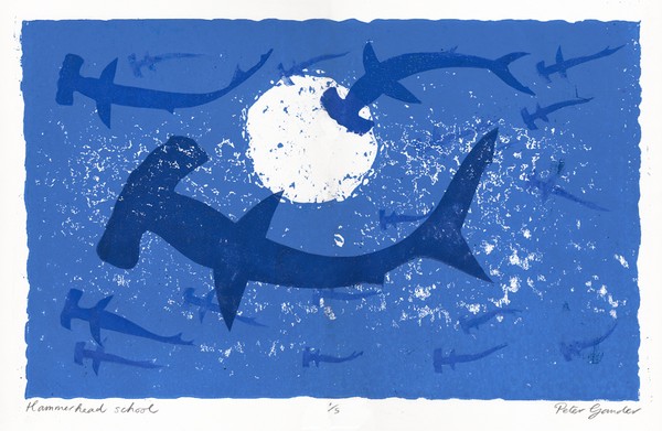 Hammerhead school