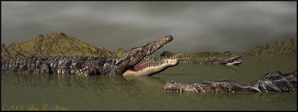 Mating Season