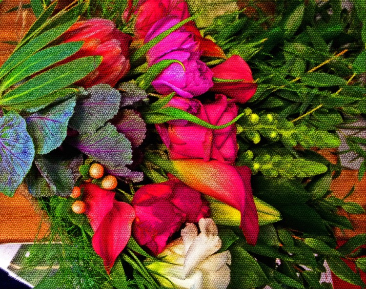 Still Life
