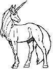 My Love Horse