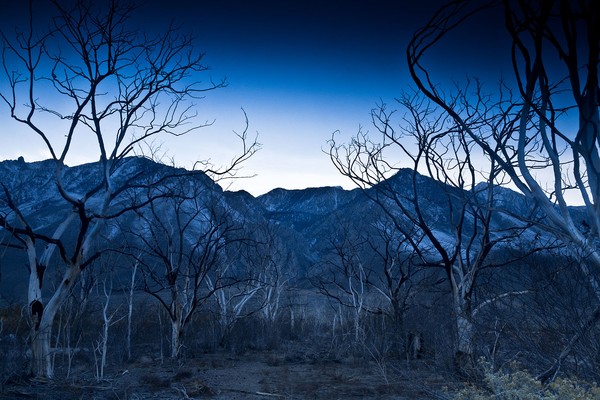 Black Canyon in Twilight