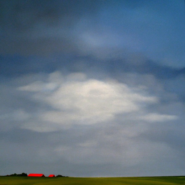 Red roofs under a Dutch sky.