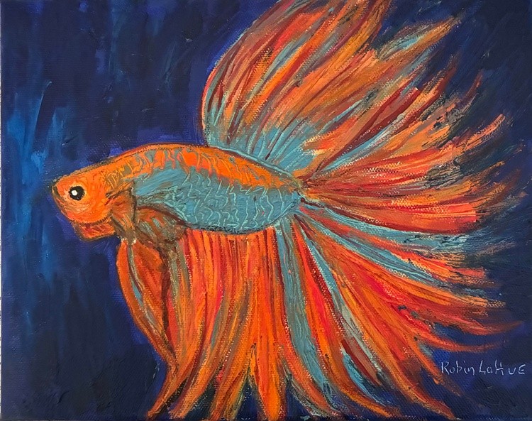 Starburst Betta