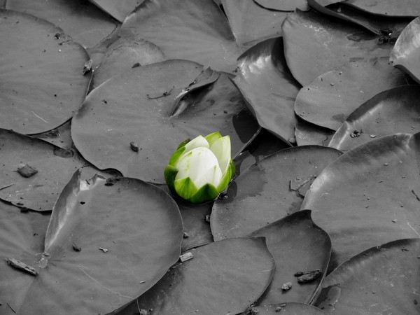 Color in the Darkness