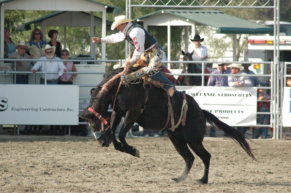 Buckin' Bronco 43