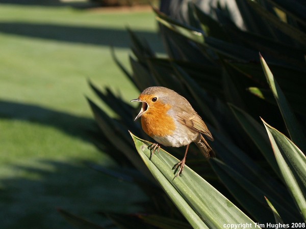 'Morning All !! '