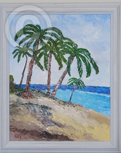 Palms 2