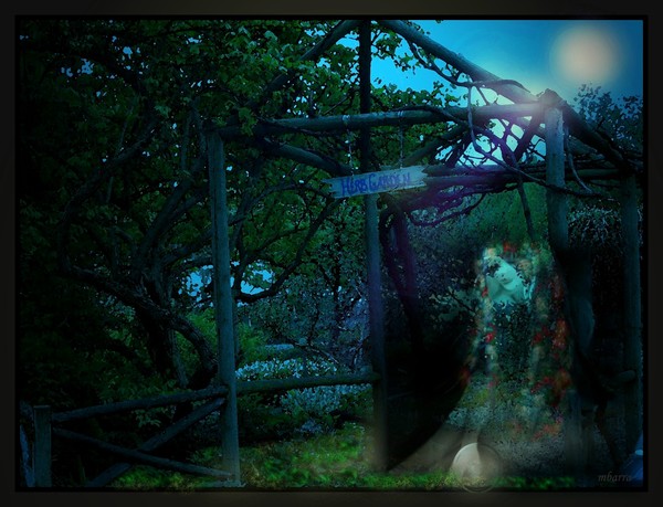 Gypsy Moon