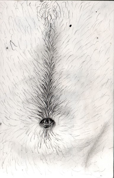 stomach study