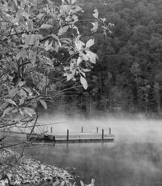 Morning Dock