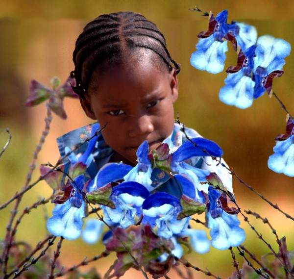People of Africa 1