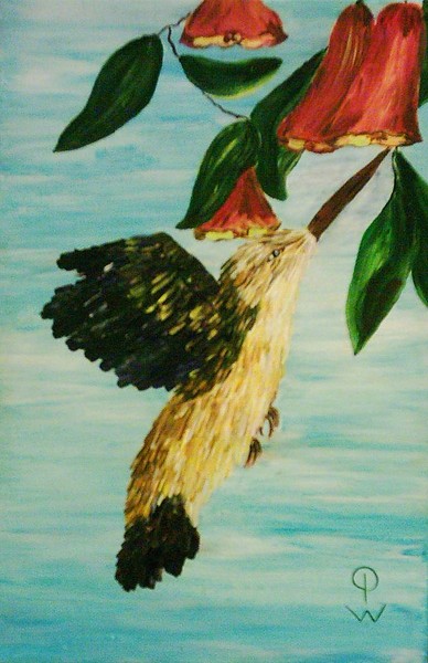 Kolibri