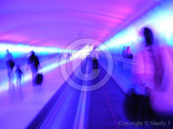 Warp