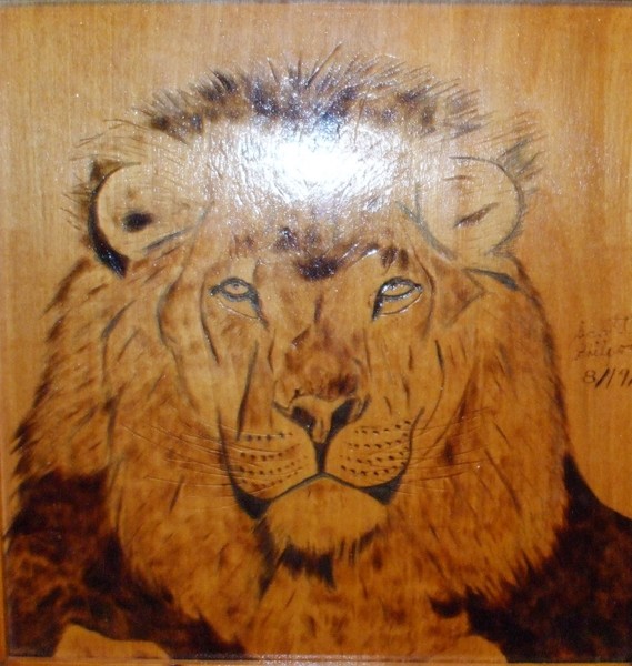Lion 