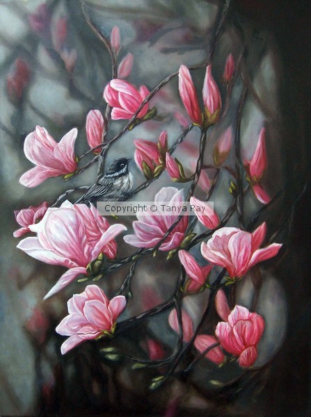 Magnolia Morning
