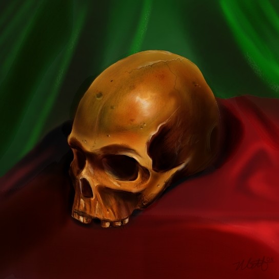 Skull Study Final