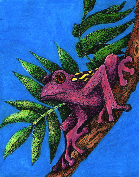 frog 2