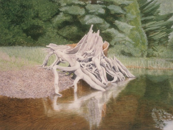 Old lake