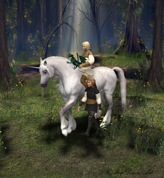 Enchanted Forest