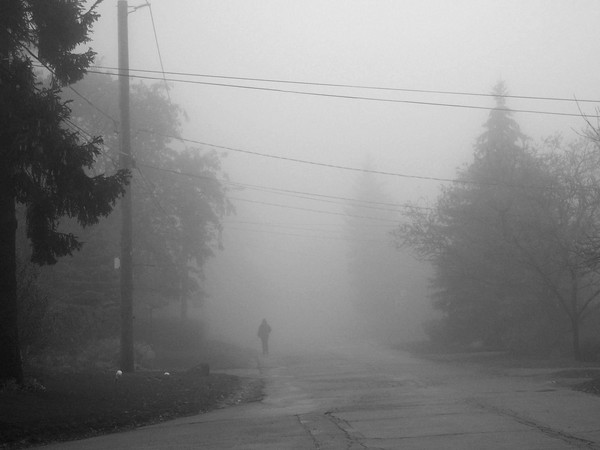 In the Fog