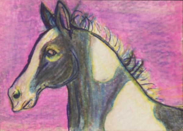 Painted Lady by P Miller Original Horse ACEO
