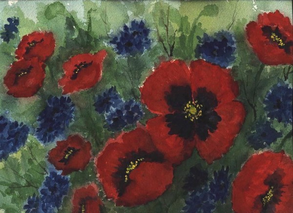 Cornflowers and Poppies