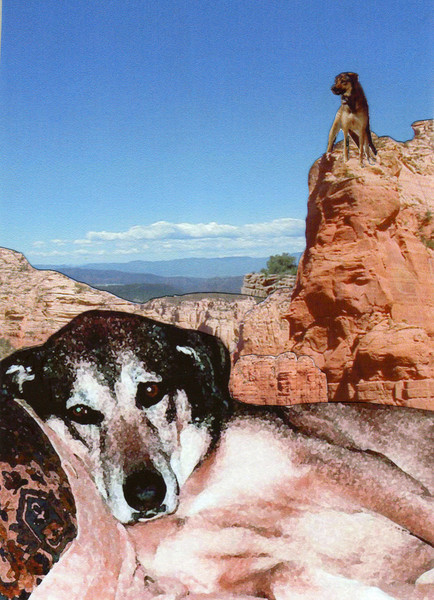 Canyon Dream